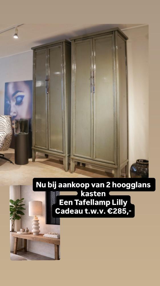 Hoogglans 2 deurskast Babs donker groen